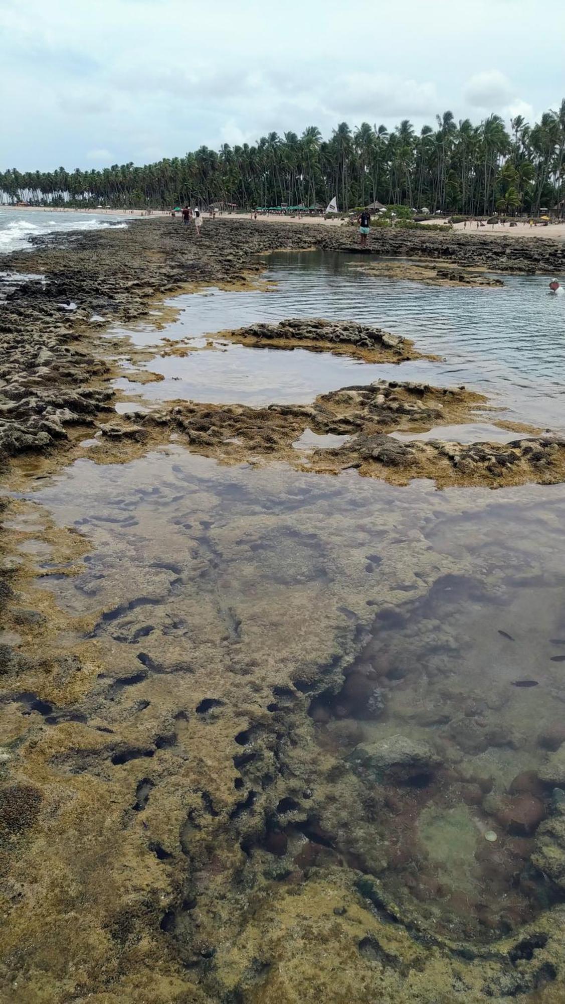 Flat Melhor Vista De Carneiros Recife Kültér fotó
